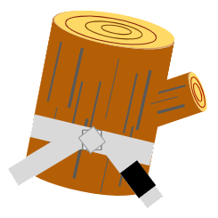 The BJJLog
